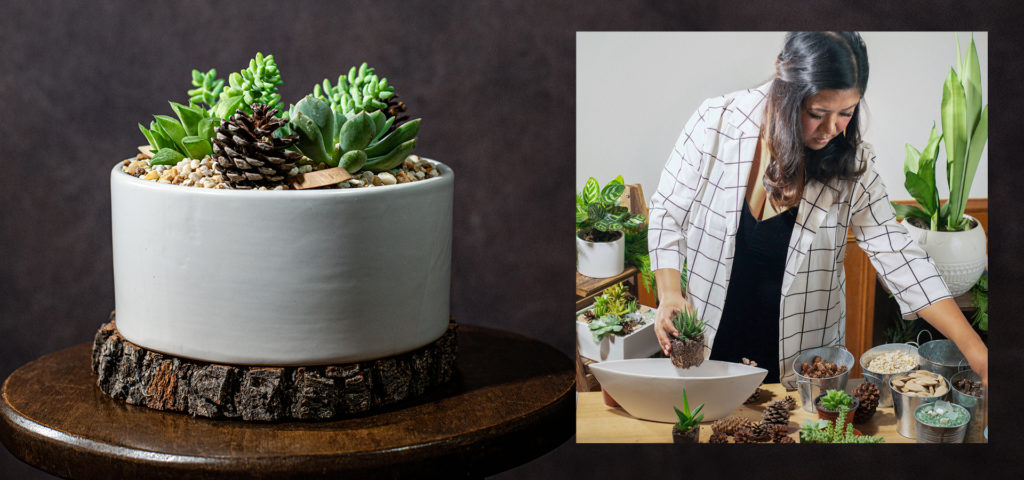 A succulent arrangement and Sheena Langub, founder of Rooted Harmony